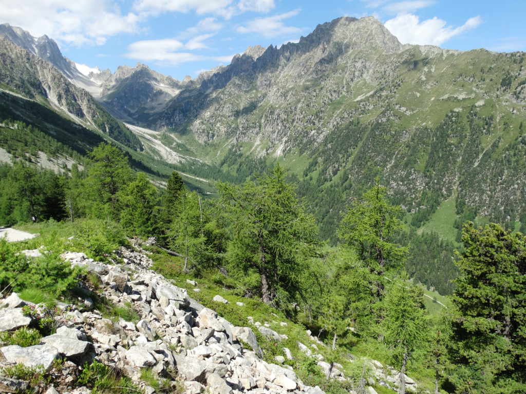 Val d'Arpette 1_DSC03709