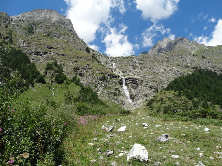 DSC03888